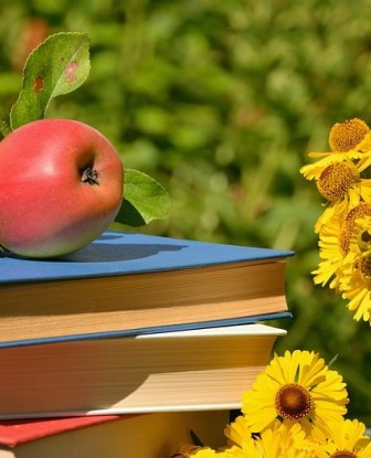 Enfoques especializados para el verano más enriquecedor
